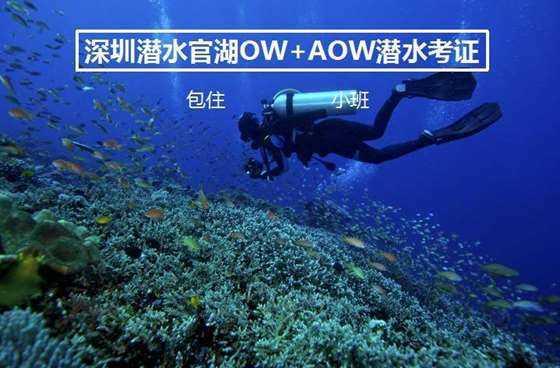 僵尸过人行道