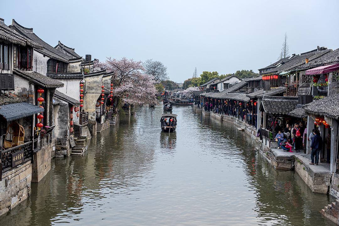 在临淄取景！影片《鸽子起舞》在CCTV-6黄金时段播出